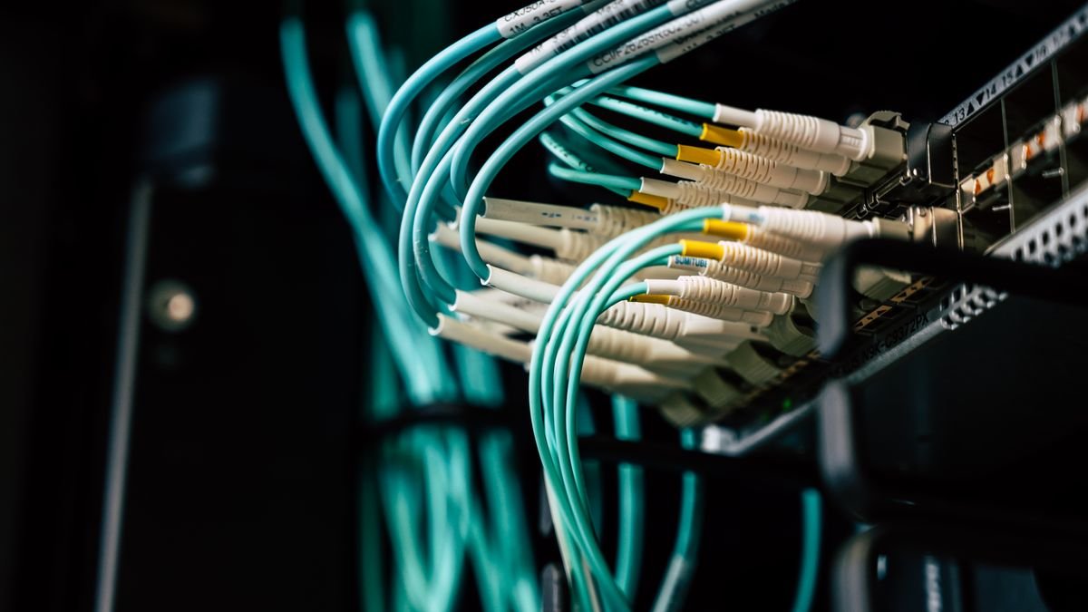Network cables in a server rack, representing the existing pages behind link insertion or niche edits