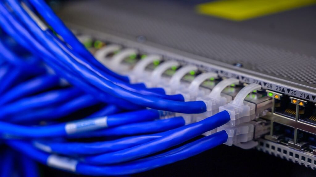 Blue ethernet cables in a network switch, like the connections niche backlinks create between related sites