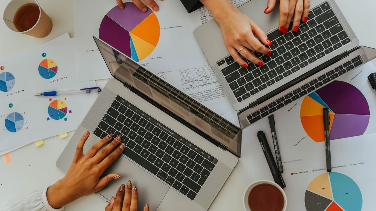 Team reviewing traffic and ranking charts to verify the quality of niche backlinks